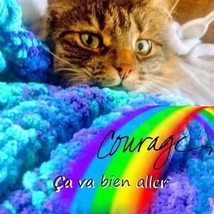 Meet your Posher, Carole